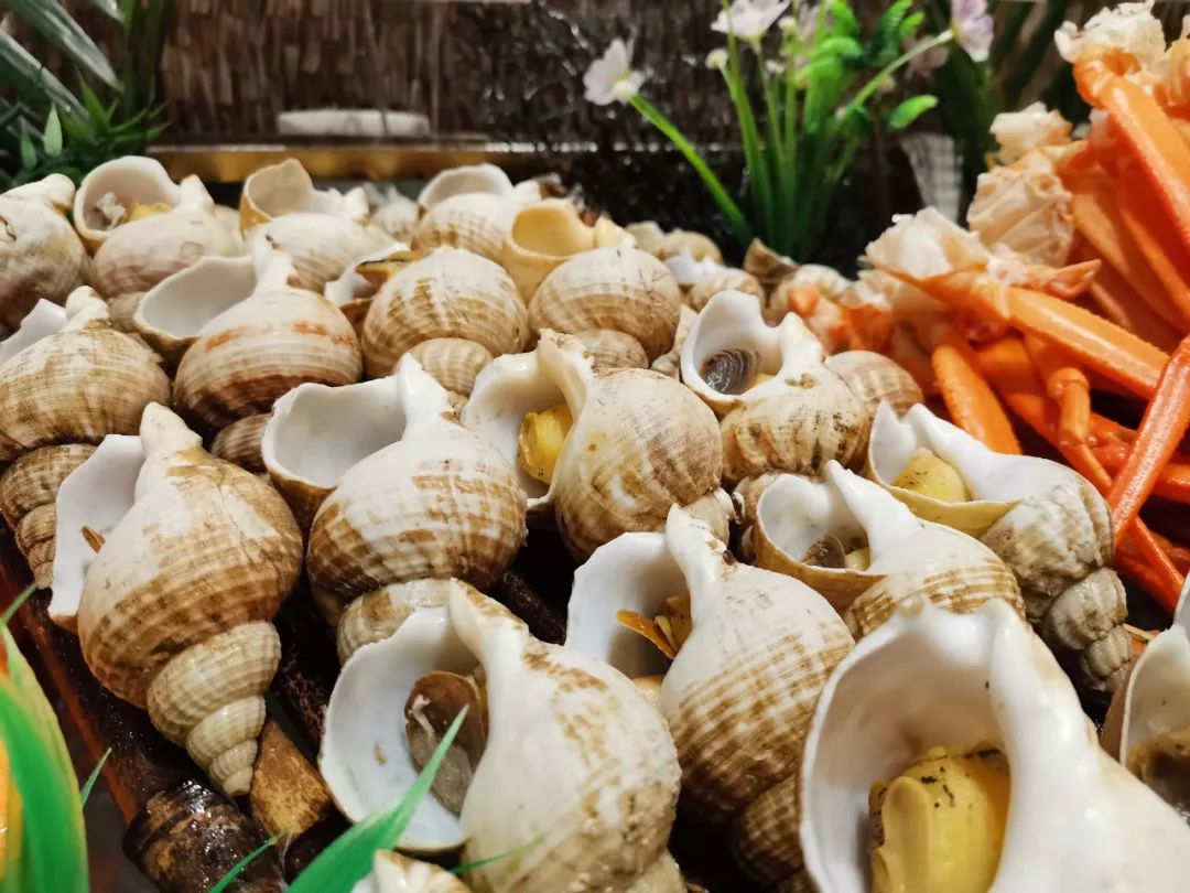 这家海鲜自助餐厅性价比超高,这家海鲜自助吃得太过瘾