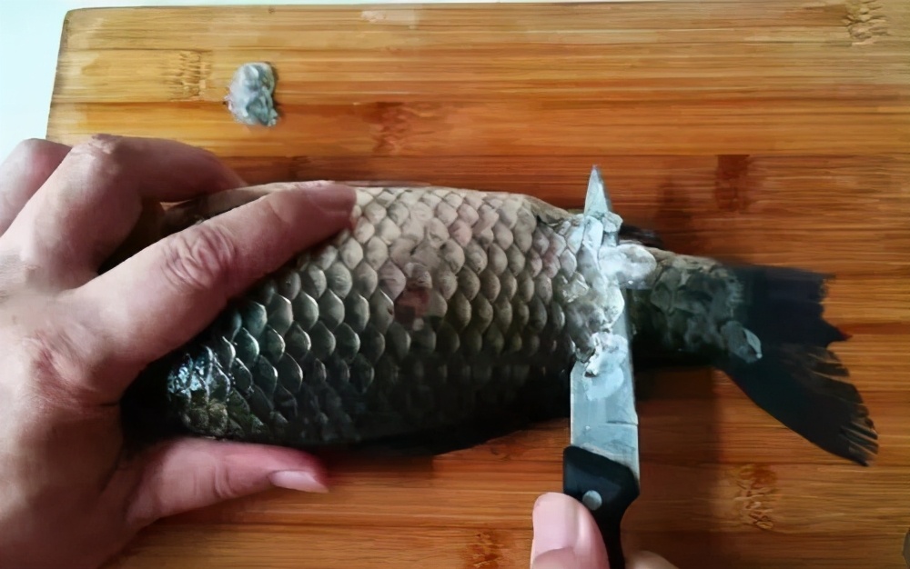 原来刮鱼鳞这么简单，多一个塑料袋，鱼鳞就不乱溅了，又快又干净