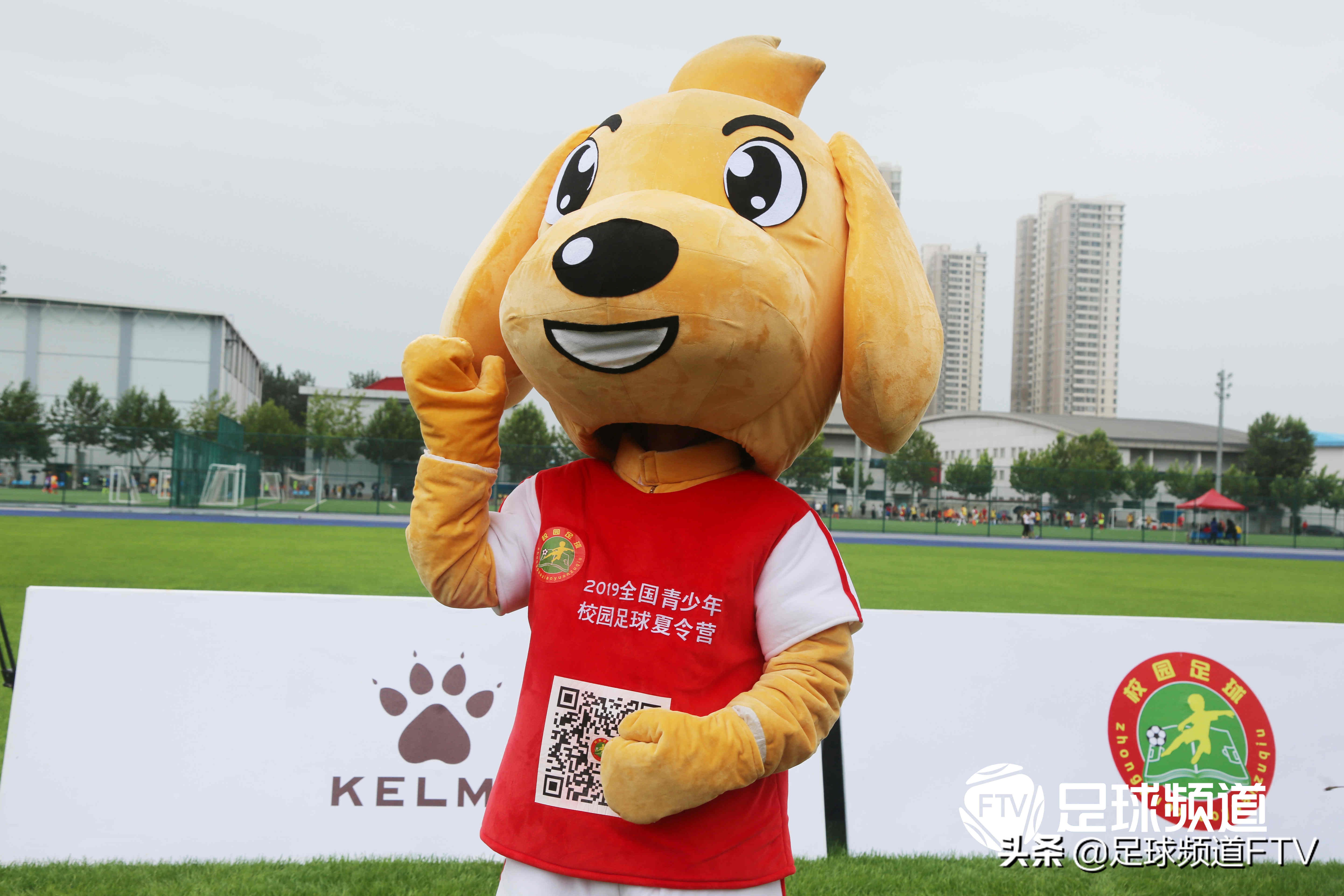 江西省青少年校园足球夏令营,2020年校园足球夏令营活动的通知