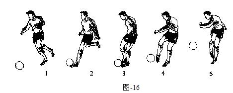 体育教学挂图动作图解,体育课动作教学