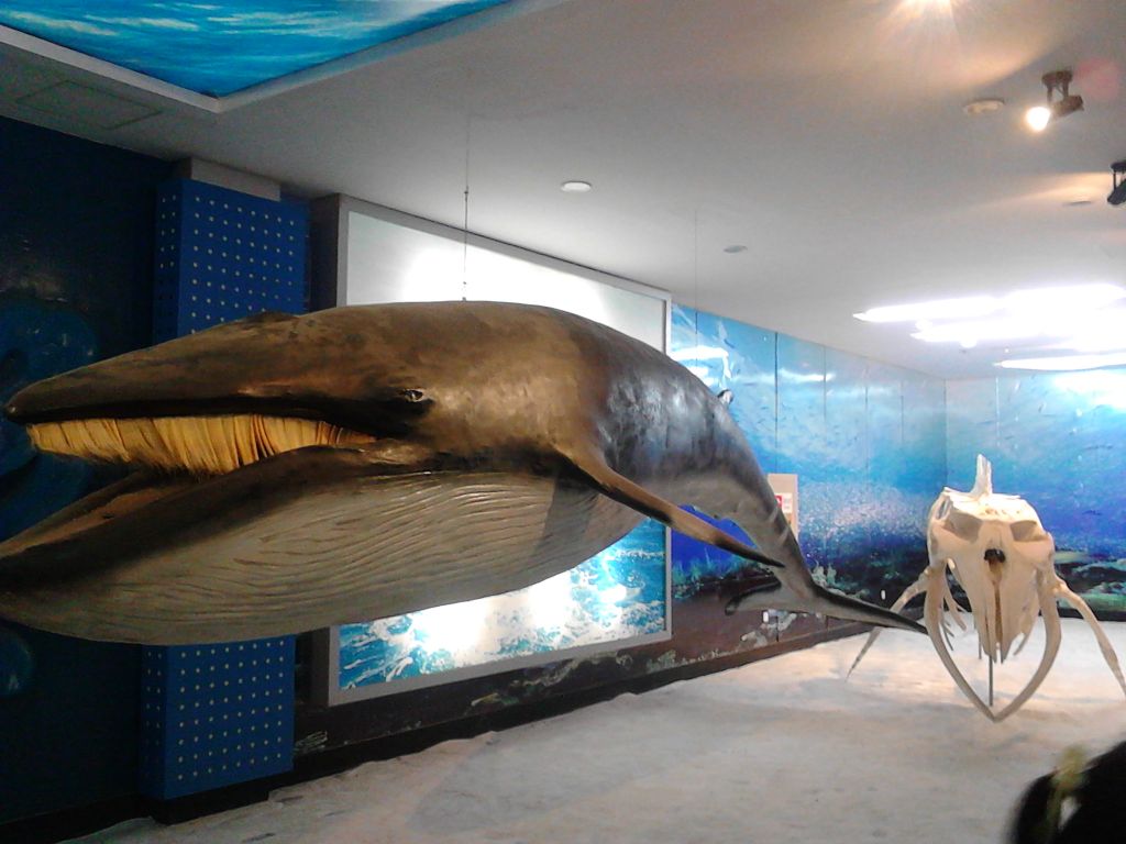 山东威海刘公岛船票,山东威海刘公岛简介