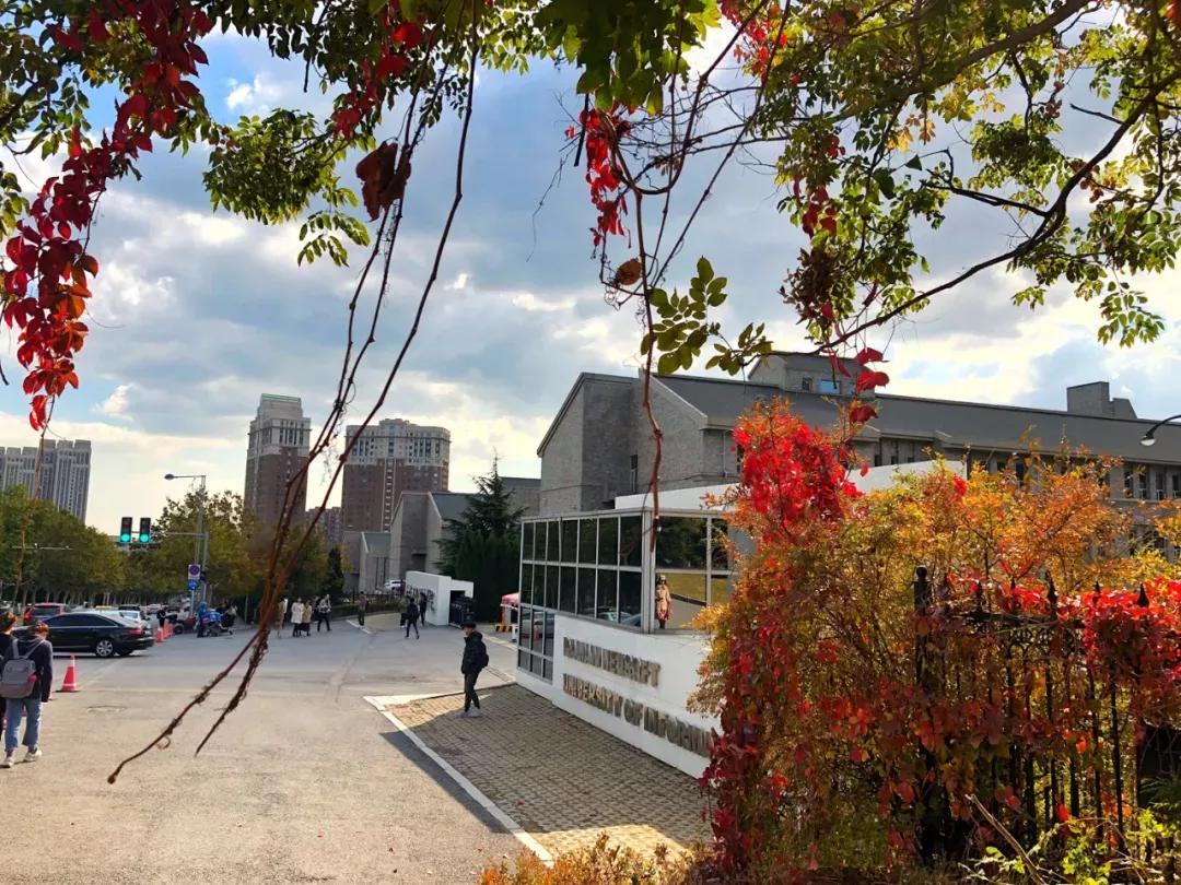 辽宁省民办大学（二）大连东软信息学院