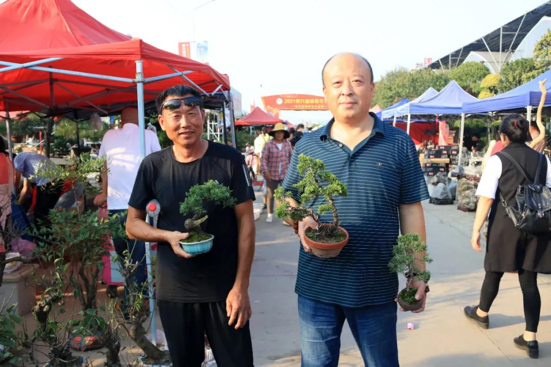 花木盆景活动,秋冬季花木节盆景展