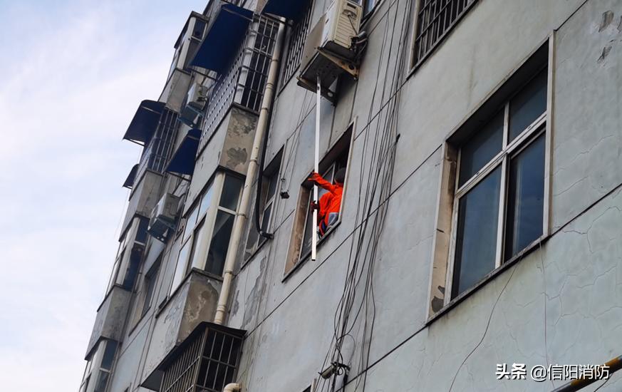 信阳今天有什么新闻大事,信阳今日热点事件