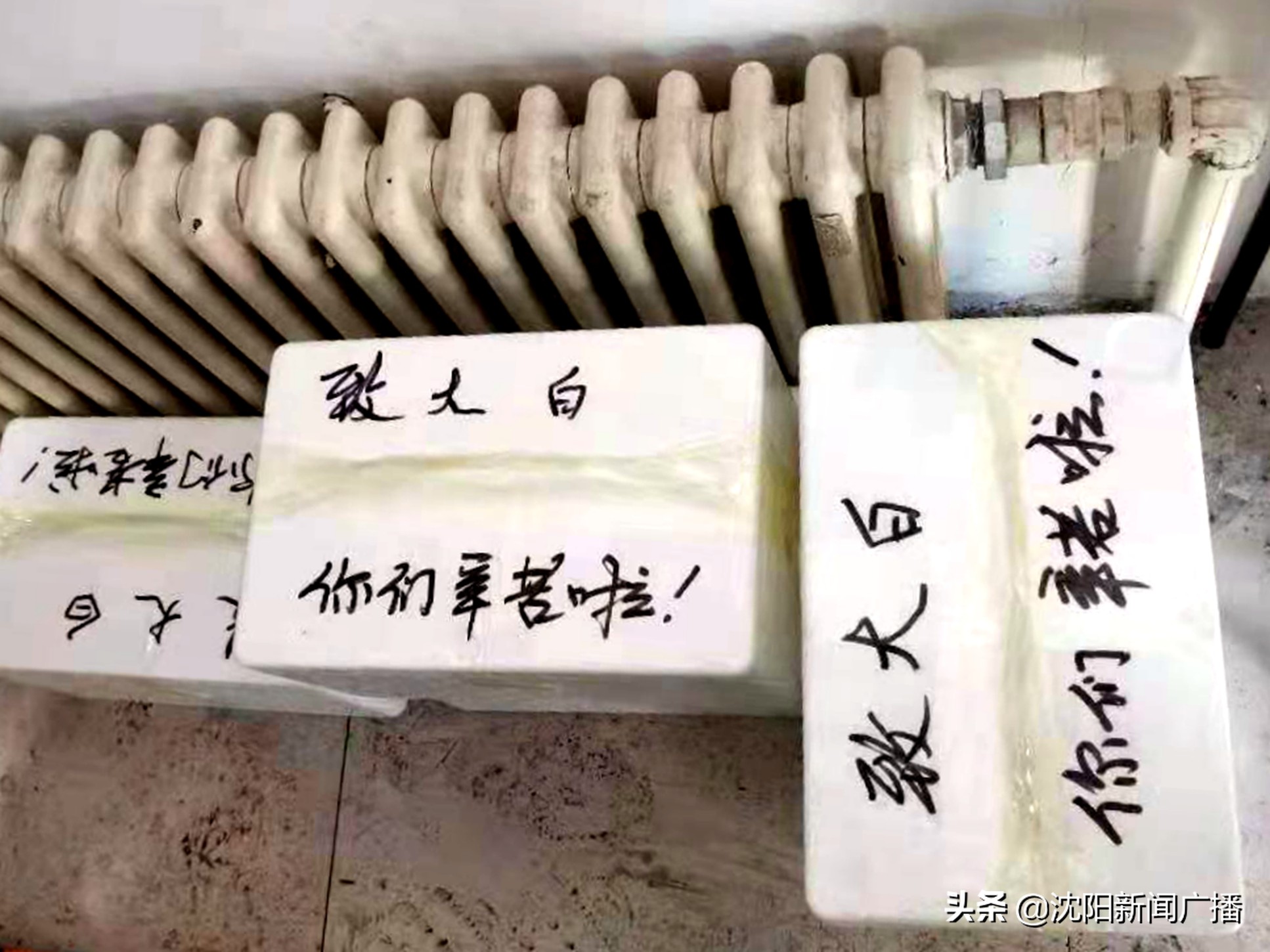 铁西纳帕阳光的抗疫礼太走心了：牛年平安事业有成生活甜蜜，温暖又吉利