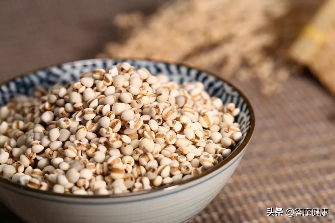 薏米儿童这样吃既能祛湿又能健脾,薏米搭配什么能补脾祛湿