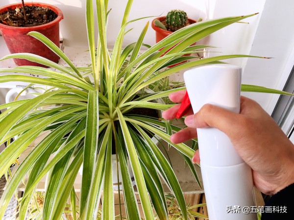 最佳家庭清洁产品,家务清洁有哪些必备的神器