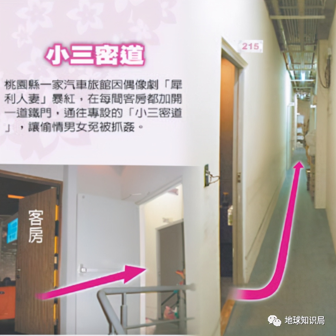 什么是“台湾爱情旅馆”？|地球知识局