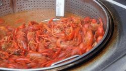 长沙探店美食本地人推荐,长沙美食本地人推荐必吃