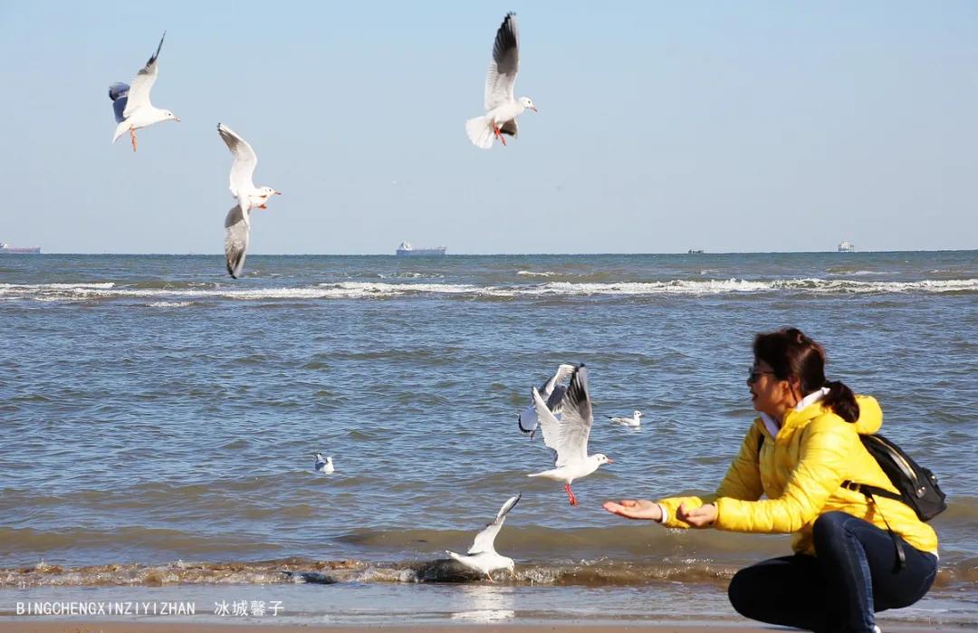 古北水镇司马台长城夜游几点开始,古北水镇旅游攻略司马台长城