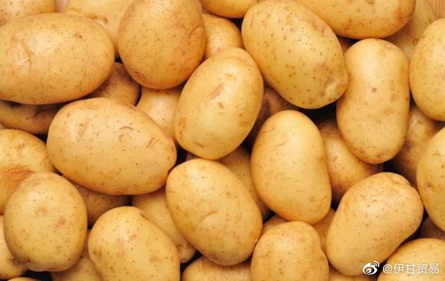 什么品牌的伏特加比较好,有哪些好喝又便宜的伏特加品牌