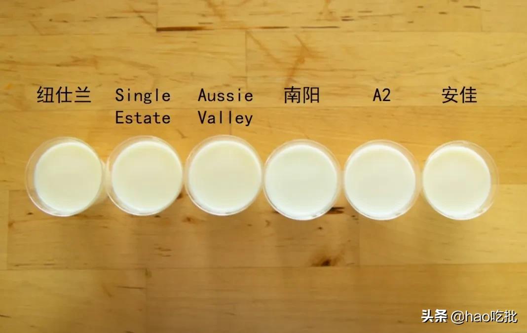 别再盲目推崇国外进口奶,进口奶品质