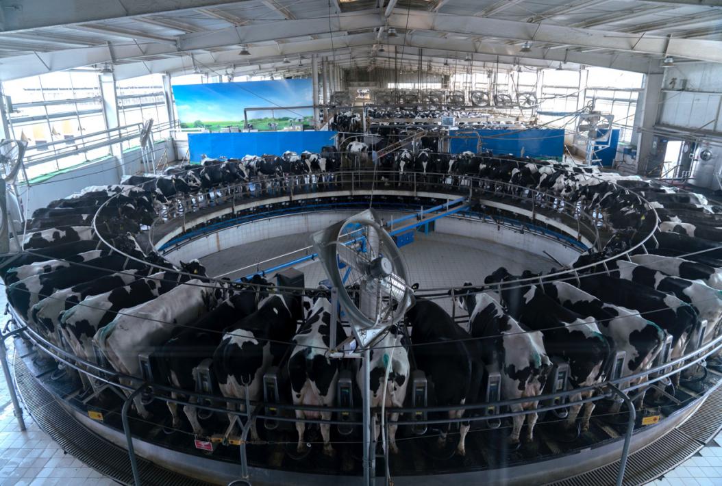 把奶粉生产搬到直播间，拼多多这招绝了，打消中国式焦虑