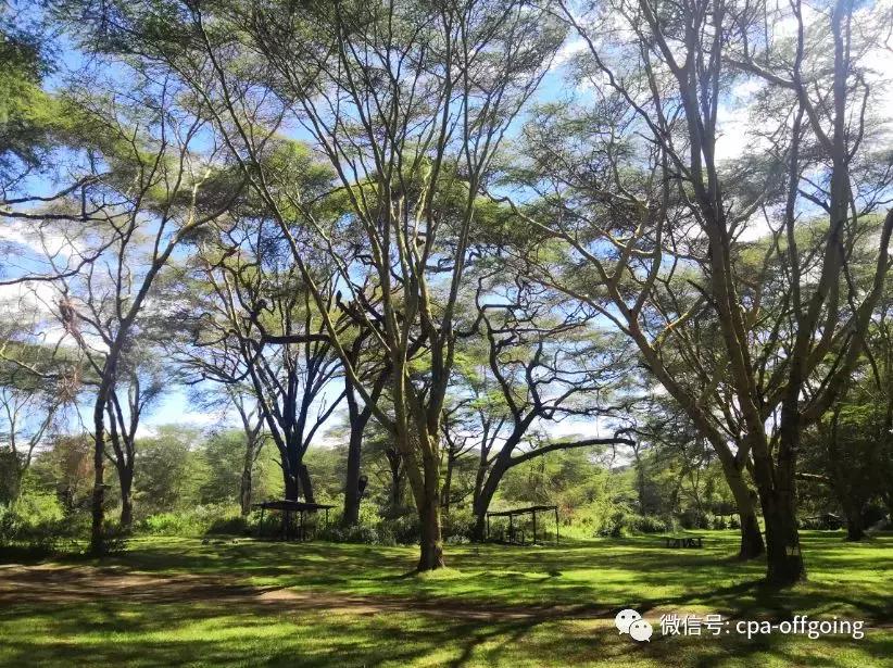 这个野奢的国度,欧美、日韩人都爱去,为何我们国家没人去?