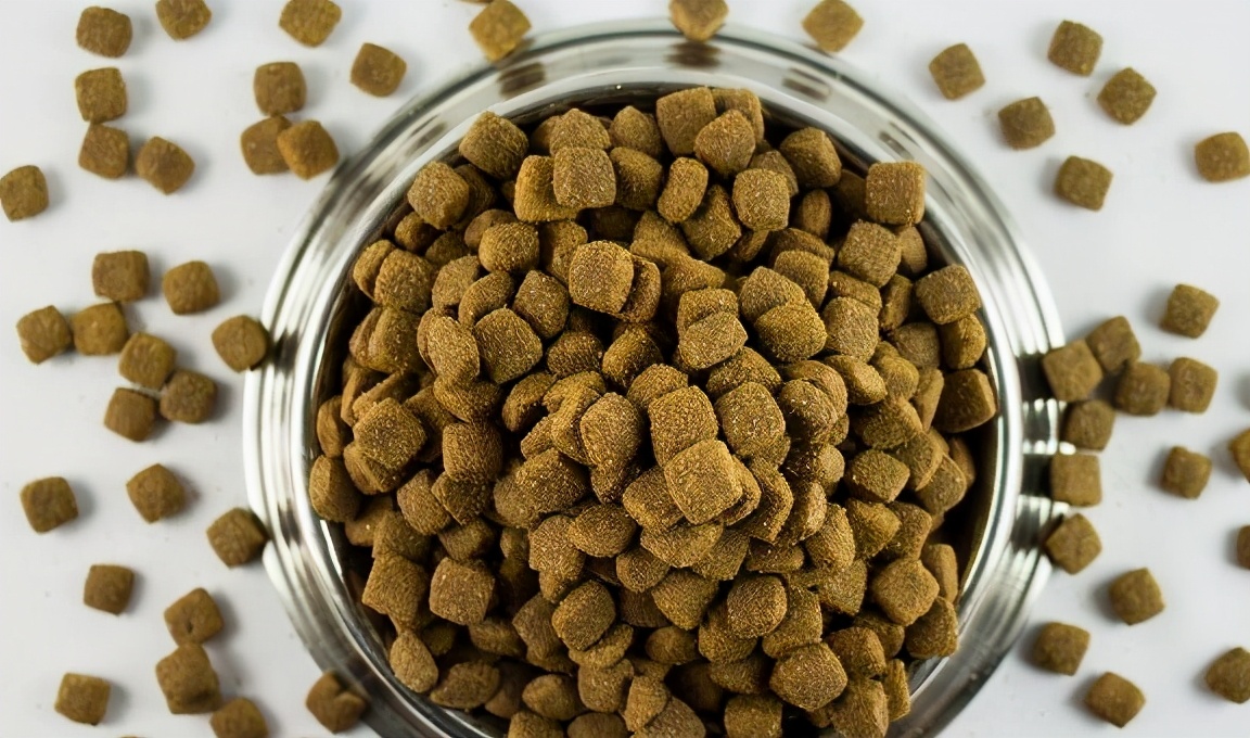 阿拉斯加犬幼犬狗粮如何挑选,怎么挑选狗粮这几点教你挑选