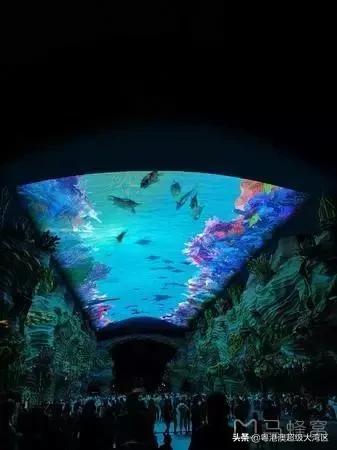 广东省内五一去哪里玩儿比较好,五一去哪里玩广东旅游攻略