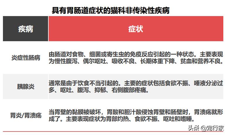 猫的呕吐物很油,猫呕吐的原因及治疗办法
