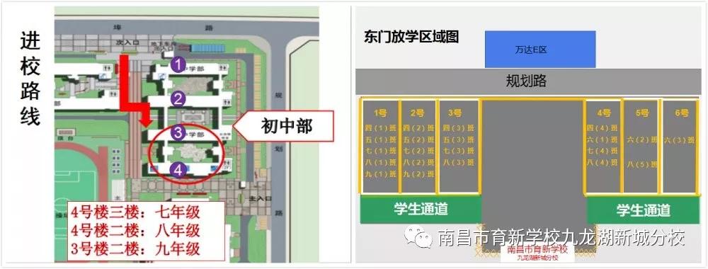 南昌育新学校九龙湖分校有小学吗,南昌育新学校九龙湖新城分校