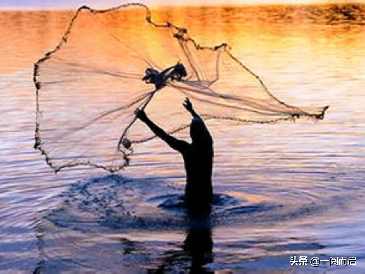 寓言的警示:网大就会捕的鱼多吗?别陷入追逐者的怪圈