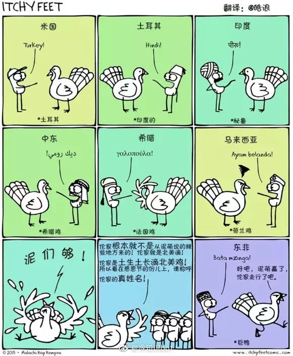 火鸡在美国叫土耳其，在土耳其叫印度，我们“假地域美食”骗太久