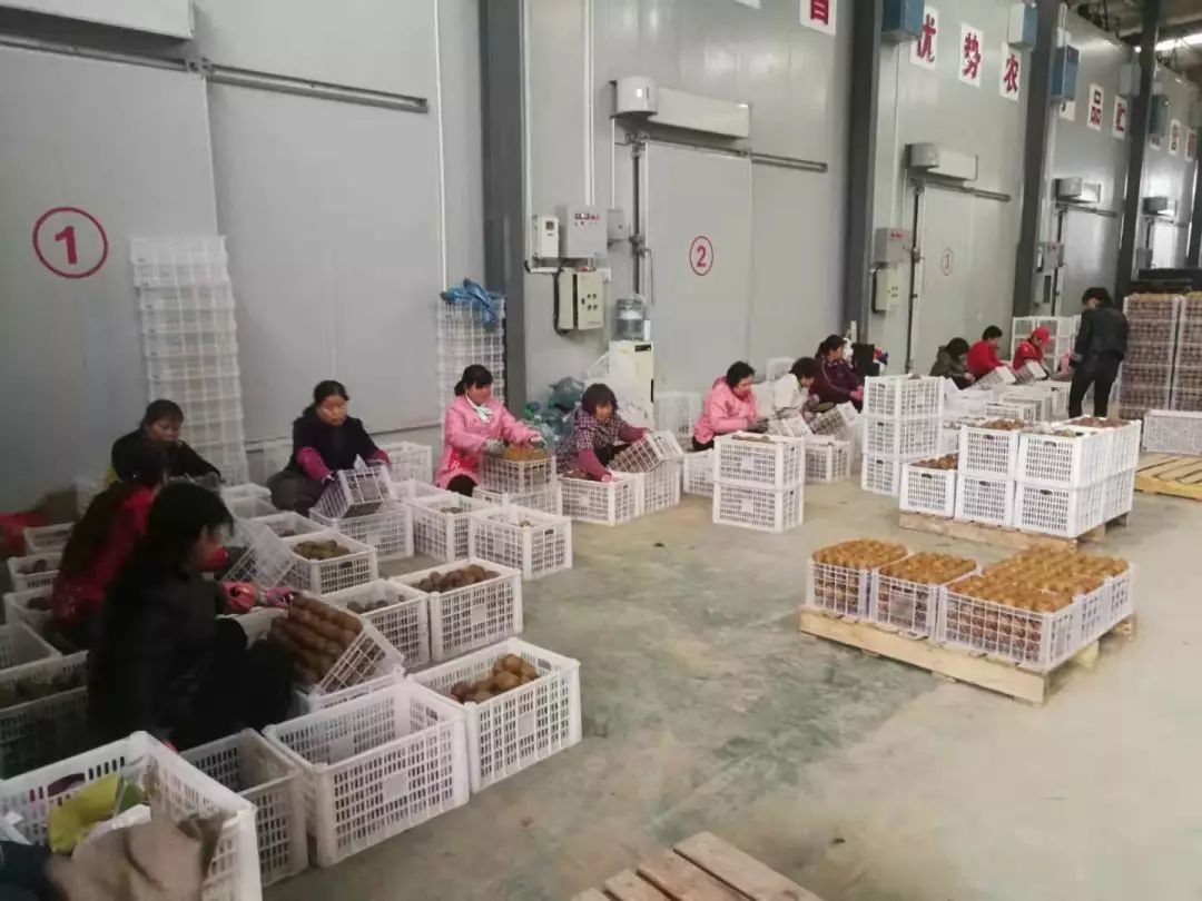 “团团大集”已近尾声，还没购置年货的小伙伴继续购购购