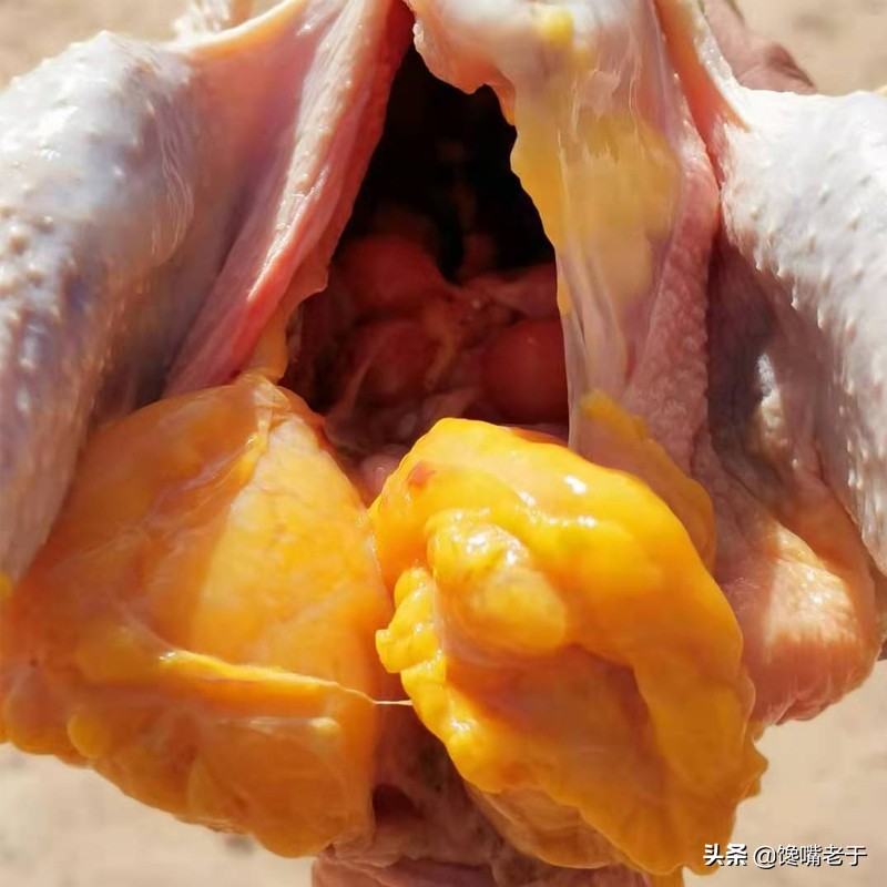 杀鸡时鸡肚里黄油是扔掉还是吃掉,杀鸡发现鸡肚子里有什么东西