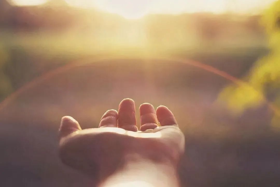 孩子有小偷小摸的行为怎么教育,孩子有小偷小摸的毛病怎么办