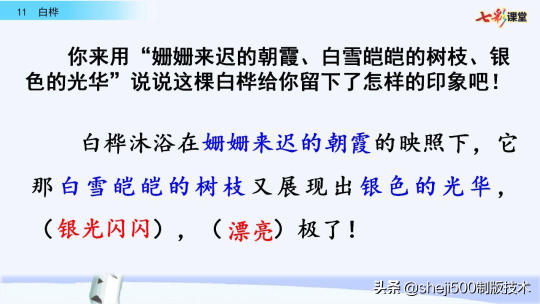 语文教科书四年级下册11课白桦,四年级语文书下册白桦讲解及预习