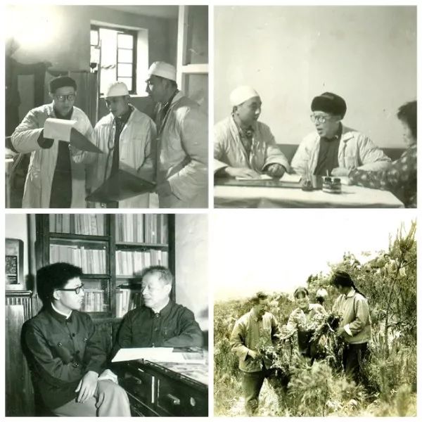 江阴叶氏医疗|悬壶济世十三代,德技双馨四百年