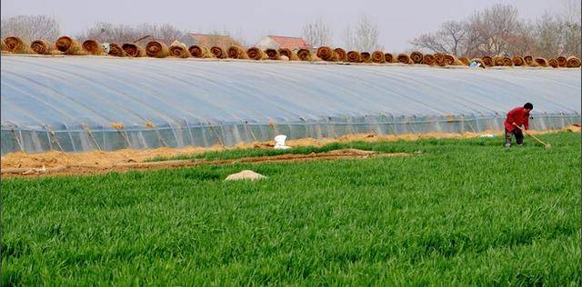 开饭店成功秘诀,开饭店这一招让你生意火爆