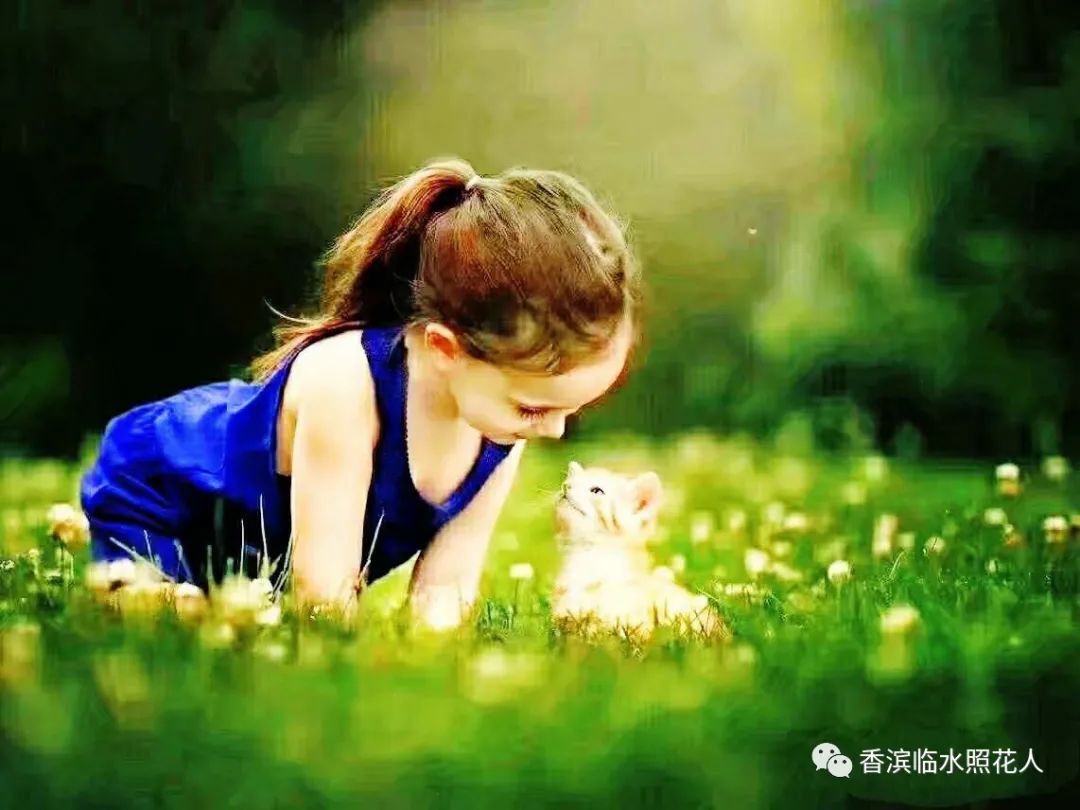 思维导图我的动物朋友,四年级习作我的动物朋友导图