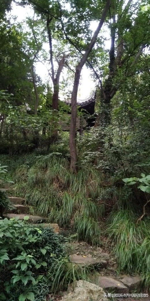 无锡的惠山古镇在哪里,惠山脚下的惠山古镇