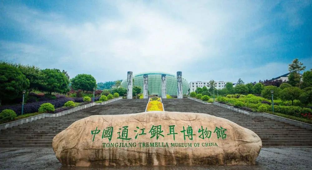 四川凉爽的十大避暑地,四川避暑康养最佳地是哪里