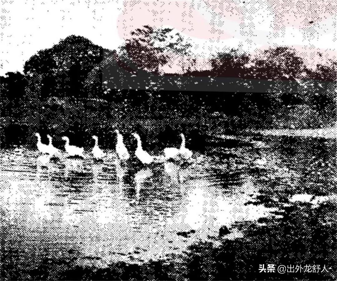 合肥杏花公园在什么地方,合肥杏花村离步行街近吗