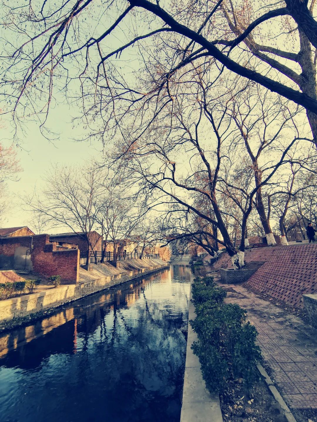 90年前的保定府西关柳色，村童垂钓少女浣纱，俨然有板渚隋堤风味