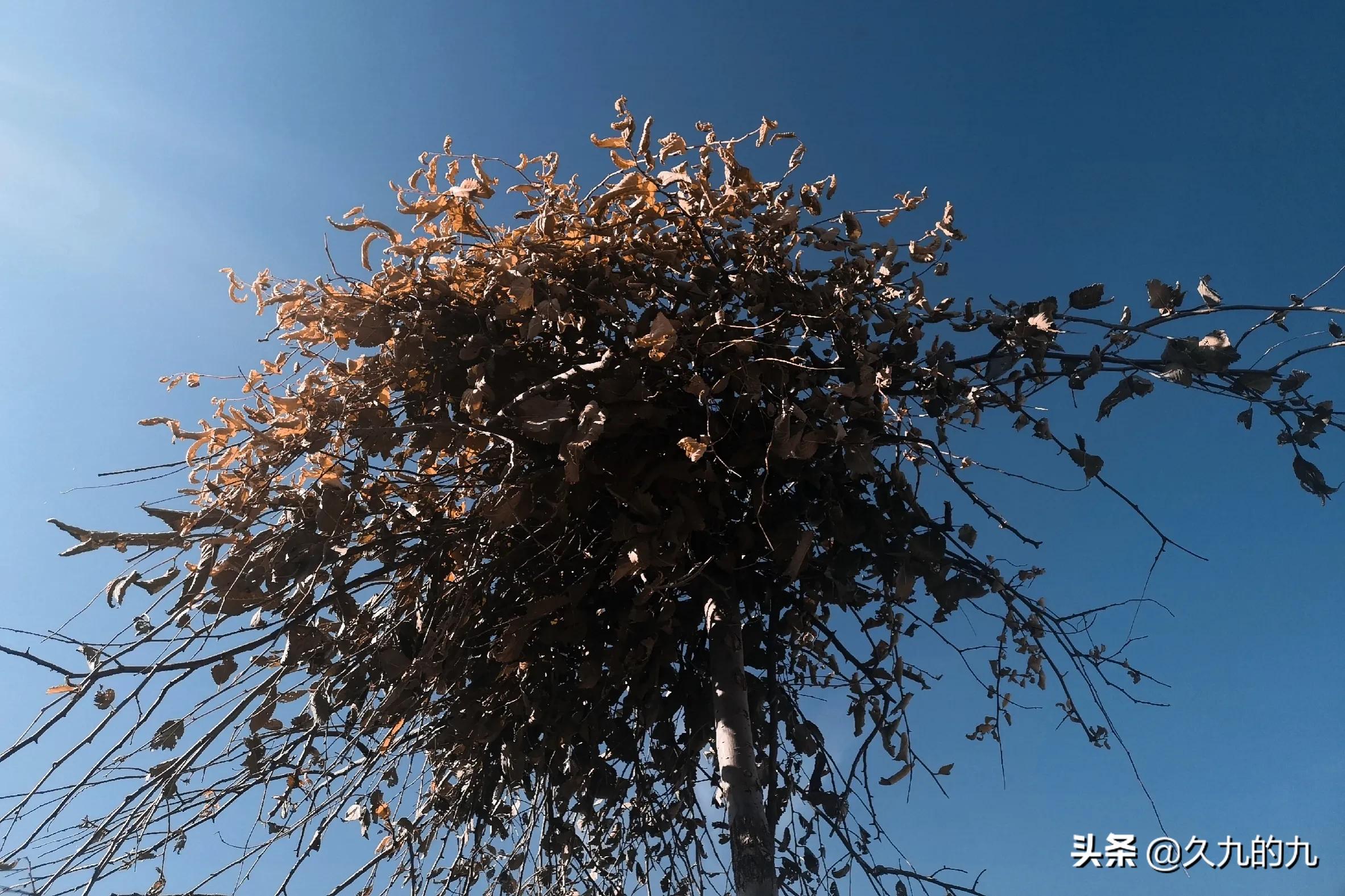 继妻难为,继妻难做