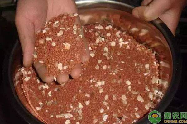 小鸽子喂补钙药后期有用吗,鸽子补钙效果排名前十强