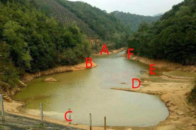 秋季钓鱼的正确方法,秋季钓鱼技巧选饵料