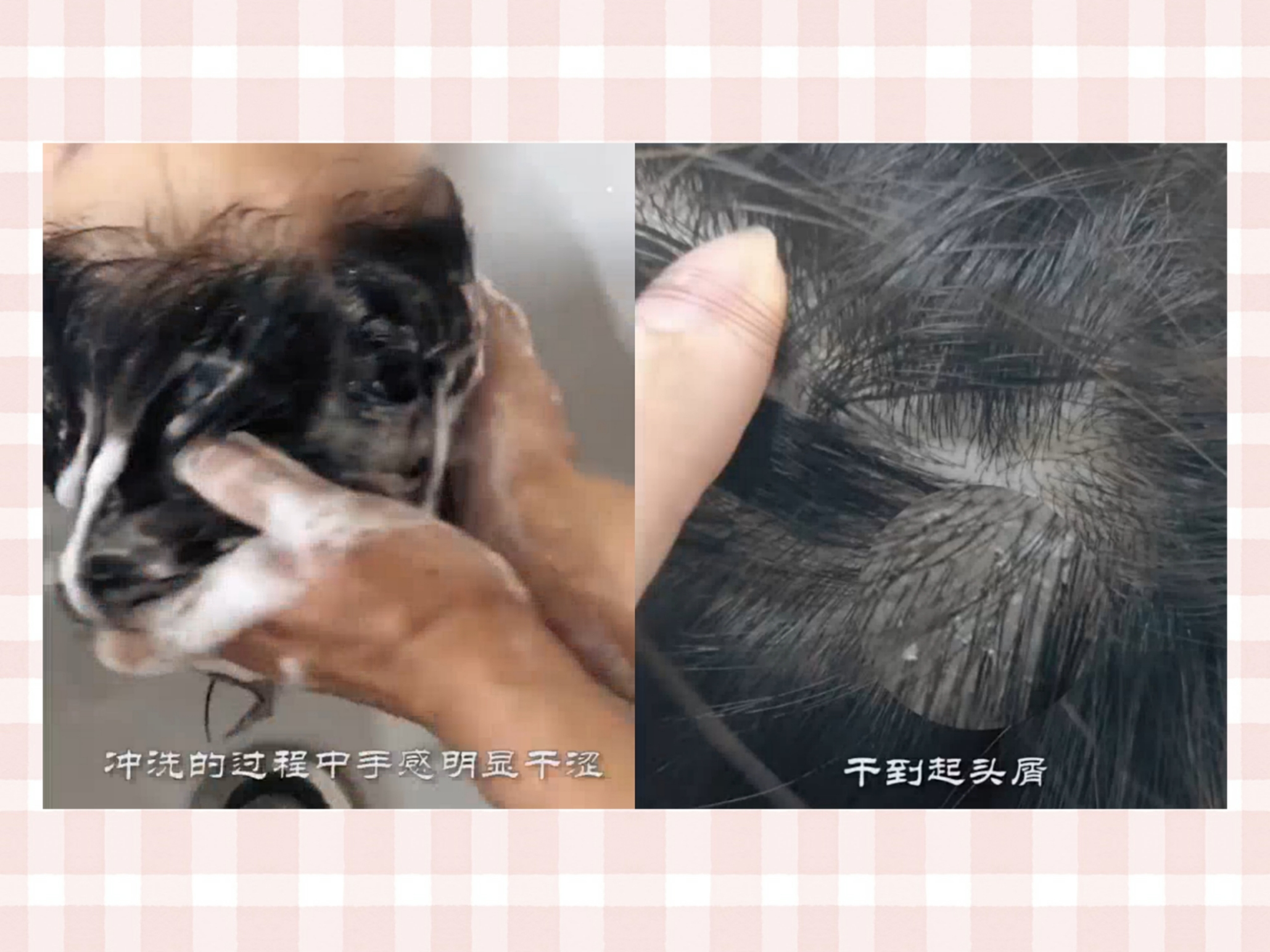 蓝吕和绿吕洗发水的区别,绿吕洗发水功效怎么样