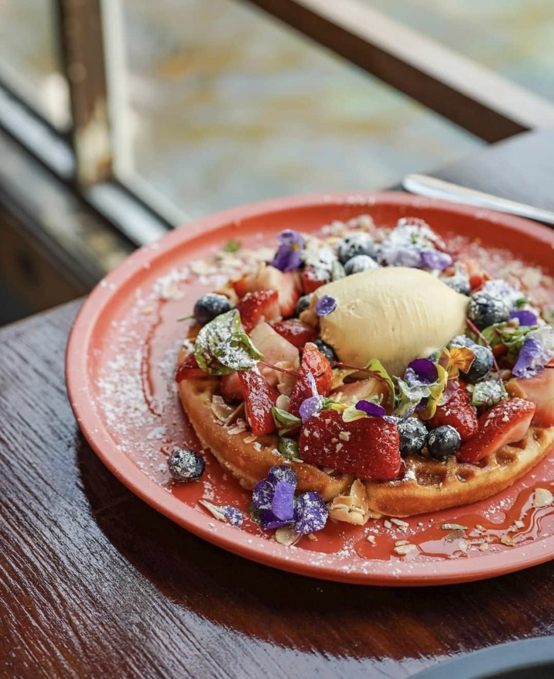 香草罗勒种子,香草降糖草苗