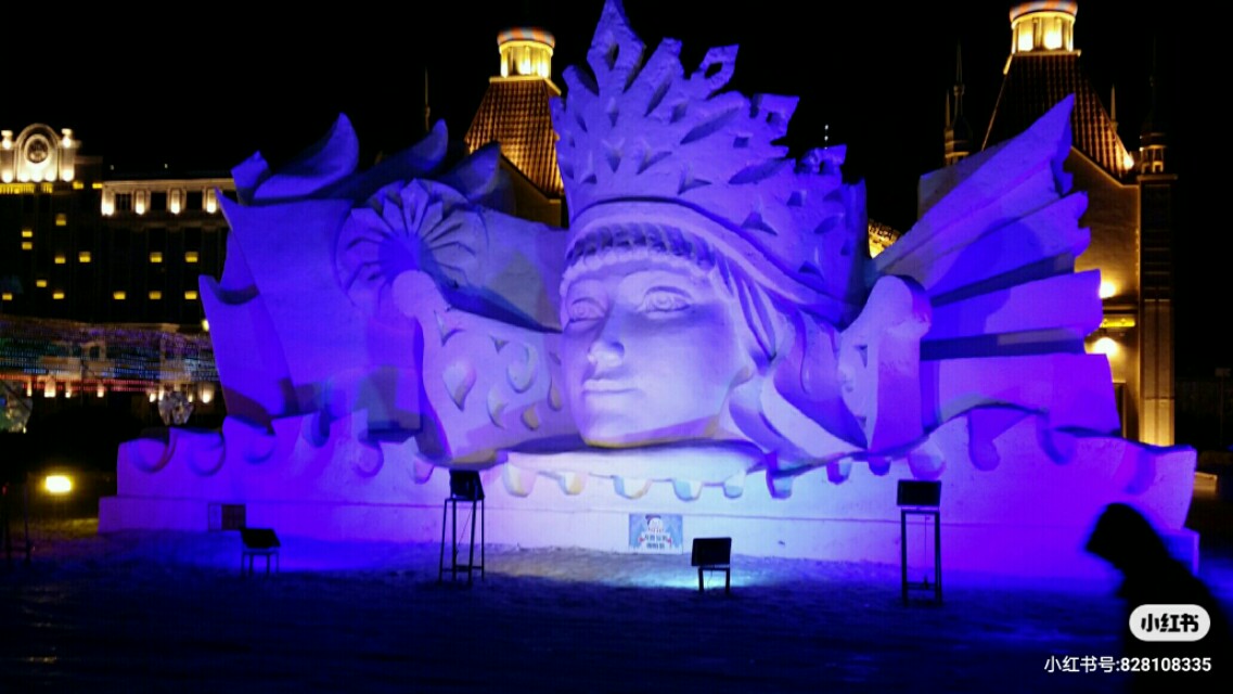 自己去拿下热气球的驾照,我今年48岁了想考驾照能考吗