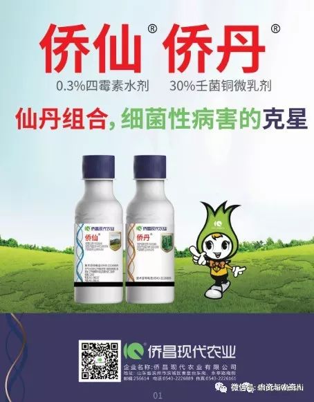 细菌感染不用吃药能好吗,细菌感冒不用吃药自愈