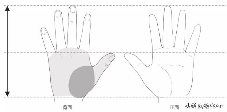 动漫人物只画一个头,大头动漫人物绘画