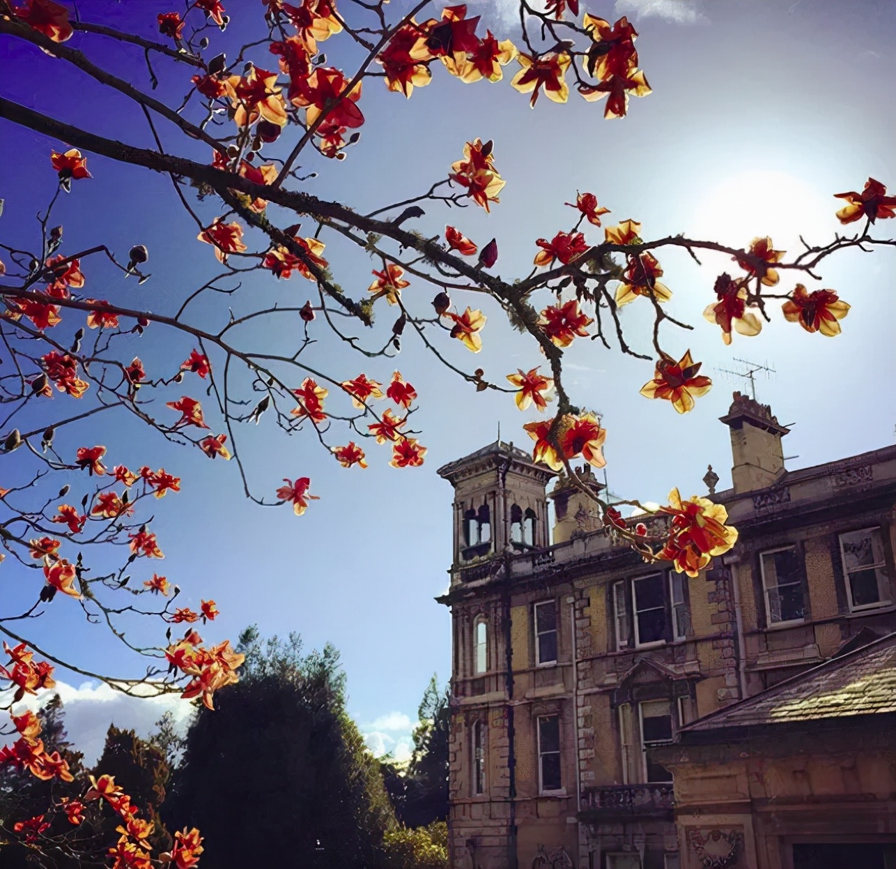 环球影城魔法学校霍格沃茨,霍格沃茨魔法学校环球影城鹰院