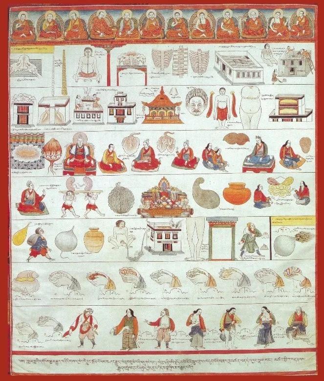 藏文科普|藏医：降糖有妙招