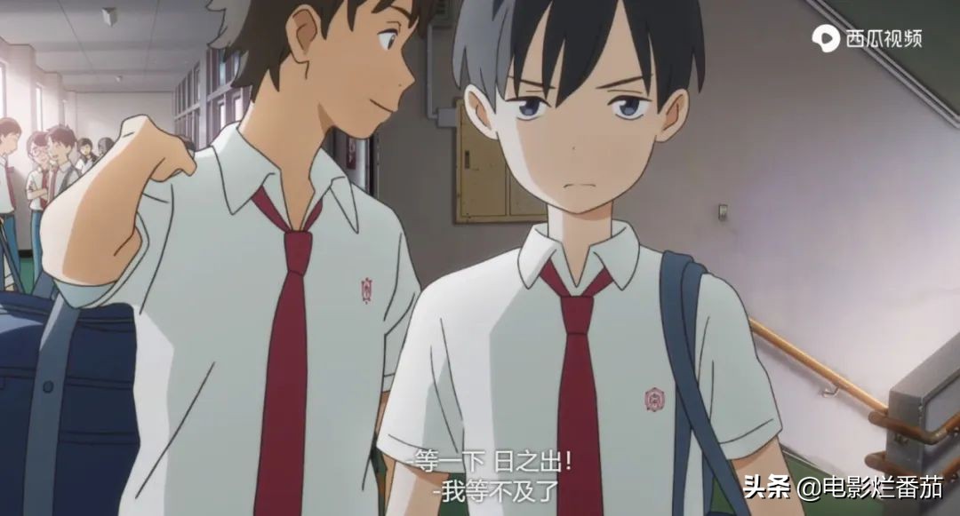 这部温情的撸猫片，让我哭得溃不成军，这是全世界猫*党**的胜利