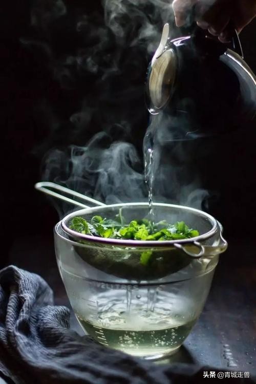 来青岛喝青岛啤酒喝哪种,来青岛喝青岛饮料