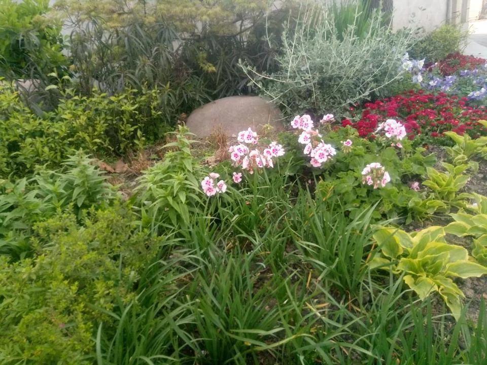 与癌症结缘了,与癌结缘就是做不完的检查