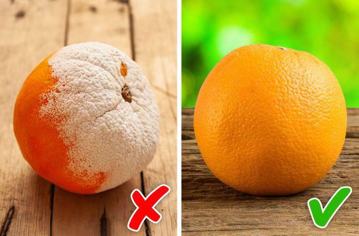 误食霉菌会发烧吗,误食了有霉菌的食物会怎么样