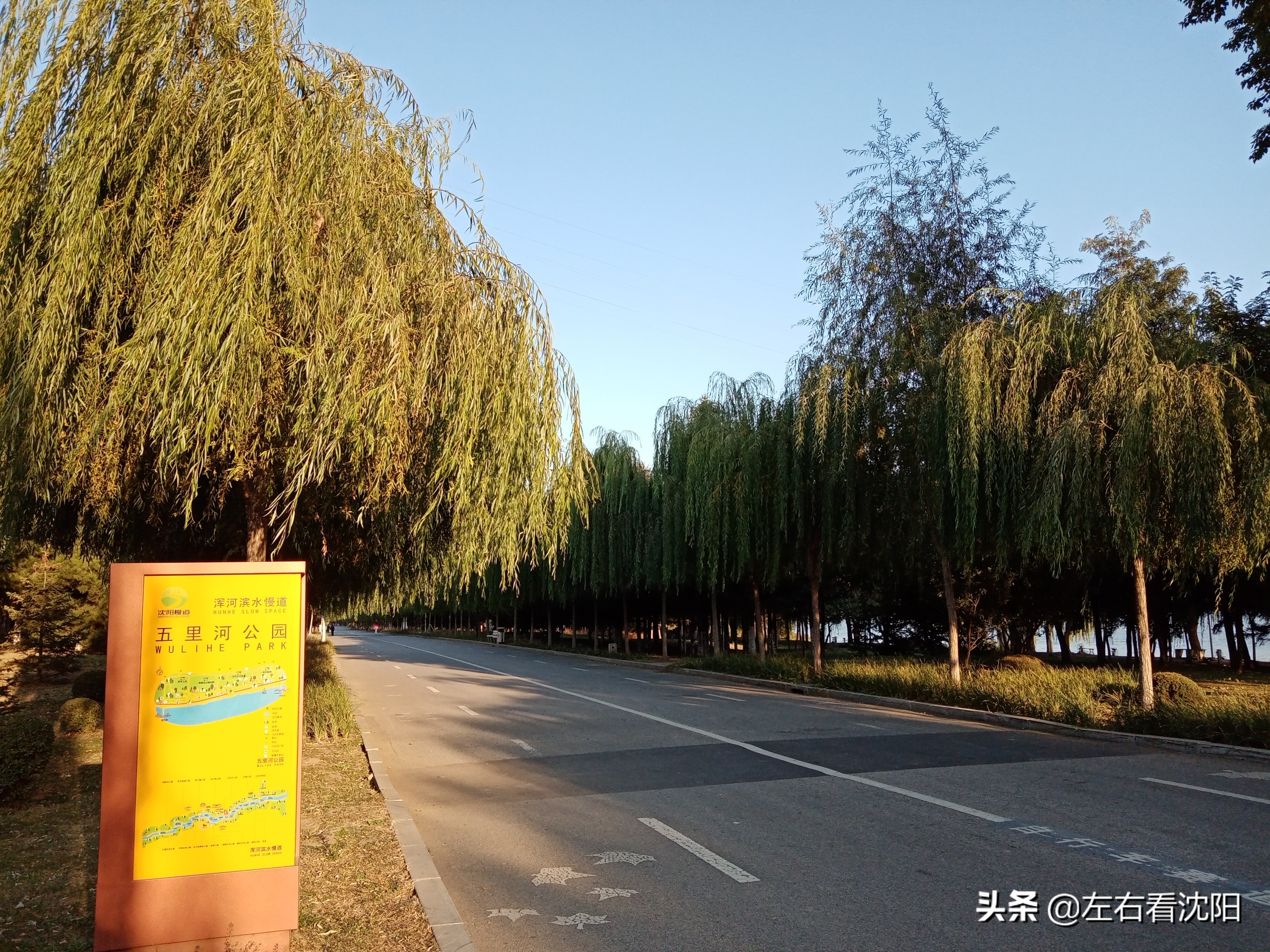 沈阳五里河公园攻略,沈阳五里河公园现在开吗